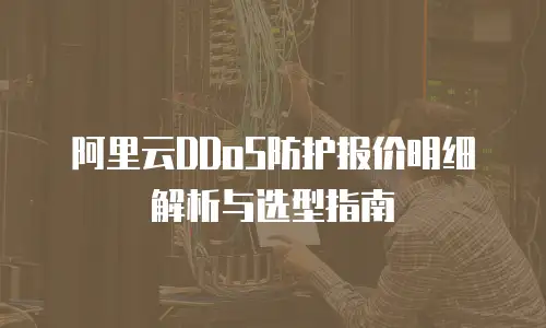 阿里云DDoS防护报价明细解析与选型指南