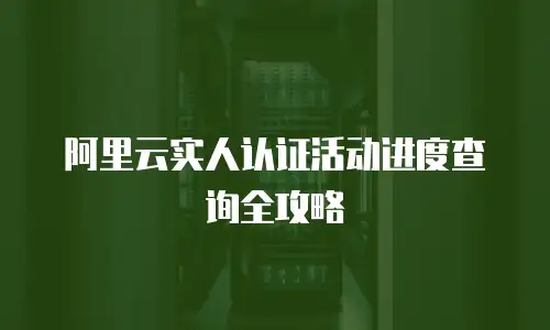 阿里云实人认证活动进度查询全攻略