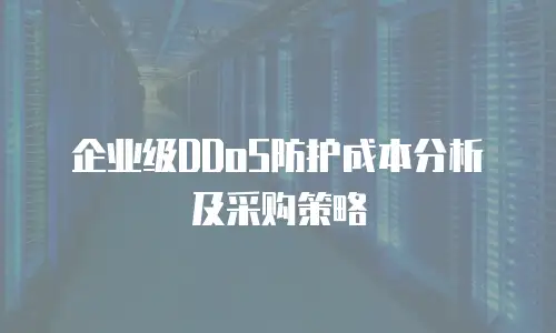 企业级DDoS防护成本分析及采购策略