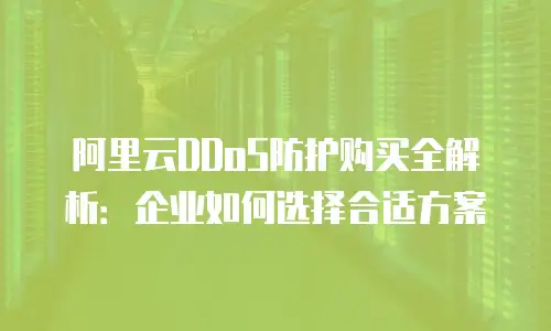 阿里云DDoS防护购买全解析：企业如何选择合适方案