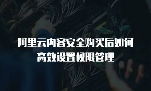 阿里云内容安全购买后如何高效设置权限管理