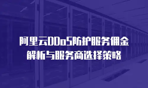 阿里云DDoS防护服务佣金解析与服务商选择策略