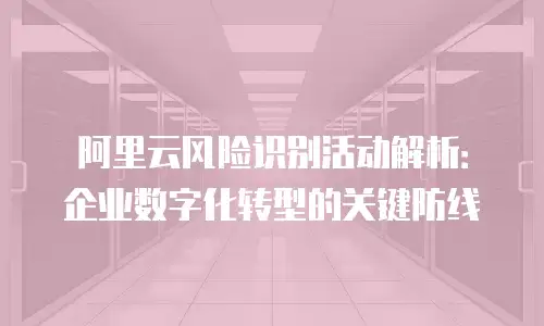 阿里云风险识别活动解析：企业数字化转型的关键防线