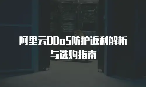 阿里云DDoS防护返利解析与选购指南