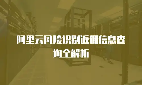 阿里云风险识别返佣信息查询全解析