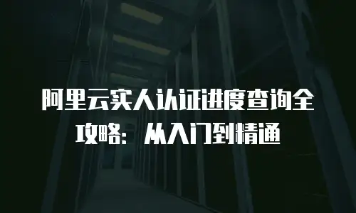 阿里云实人认证进度查询全攻略：从入门到精通
