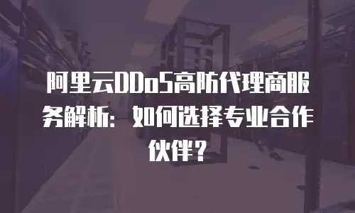 阿里云DDoS高防代理商服务解析：如何选择专业合作伙伴？