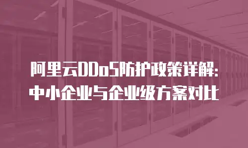 阿里云DDoS防护政策详解：中小企业与企业级方案对比