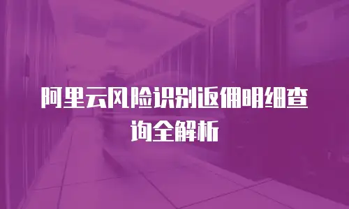 阿里云风险识别返佣明细查询全解析