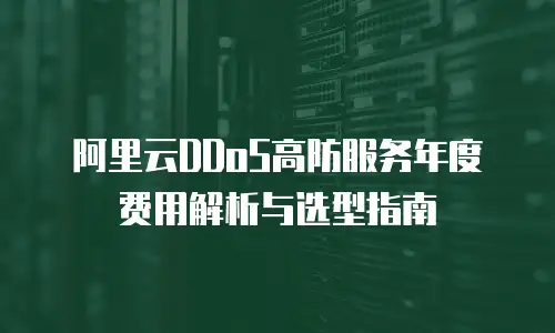 阿里云DDoS高防服务年度费用解析与选型指南
