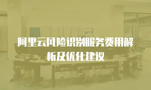 阿里云风险识别服务费用解析及优化建议
