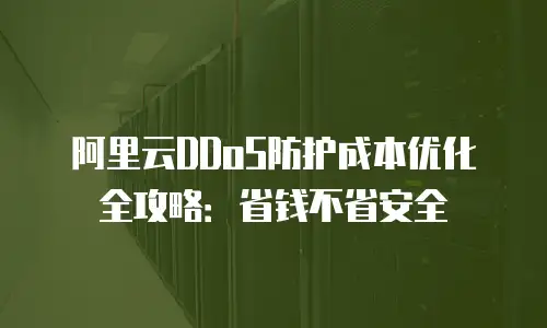 阿里云DDoS防护成本优化全攻略：省钱不省安全