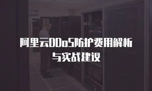 阿里云DDoS防护费用解析与实战建议