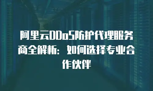 阿里云DDoS防护代理服务商全解析：如何选择专业合作伙伴