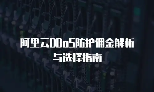 阿里云DDoS防护佣金解析与选择指南