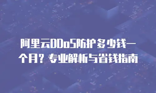 阿里云DDoS防护多少钱一个月？专业解析与省钱指南