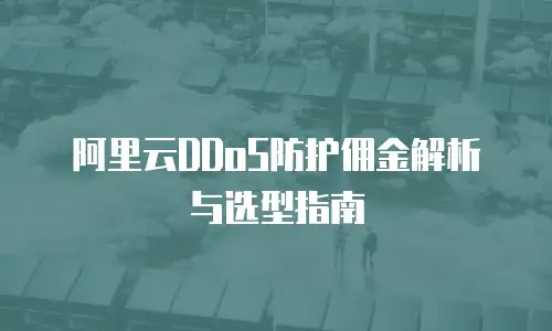 阿里云DDoS防护佣金解析与选型指南