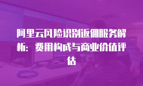 阿里云风险识别返佣服务解析：费用构成与商业价值评估