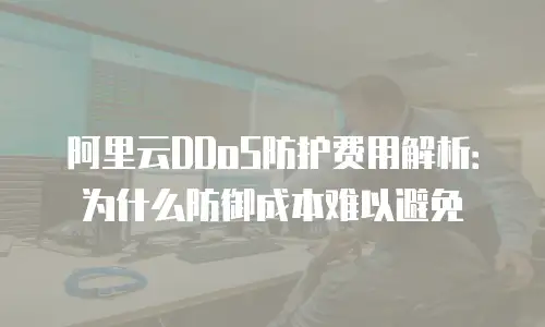 阿里云DDoS防护费用解析：为什么防御成本难以避免