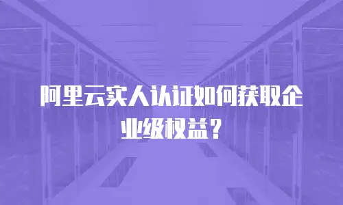 阿里云实人认证如何获取企业级权益？