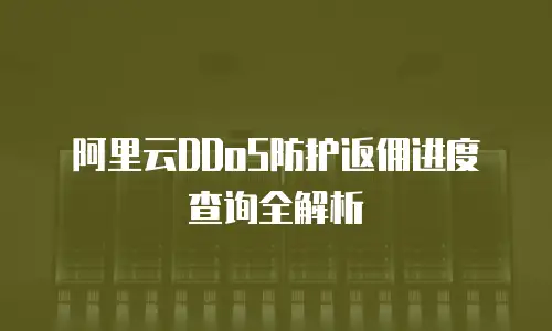 阿里云DDoS防护返佣进度查询全解析