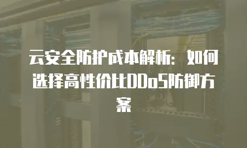 云安全防护成本解析：如何选择高性价比DDoS防御方案