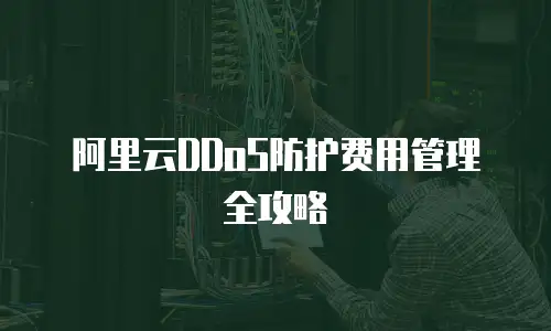 阿里云DDoS防护费用管理全攻略