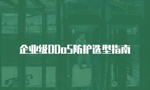 企业级DDoS防护选型指南