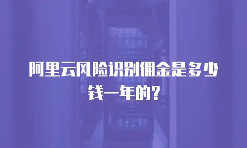 阿里云风险识别佣金是多少钱一年的？