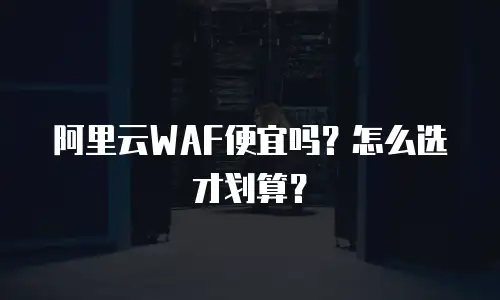 阿里云WAF便宜吗？怎么选才划算？