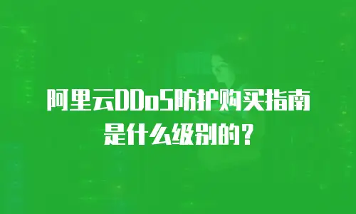 阿里云DDoS防护购买指南是什么级别的？