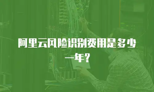 阿里云风险识别费用是多少一年？