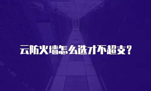 云防火墙怎么选才不超支？