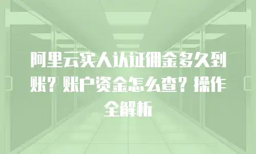 阿里云实人认证佣金多久到账？账户资金怎么查？操作全解析