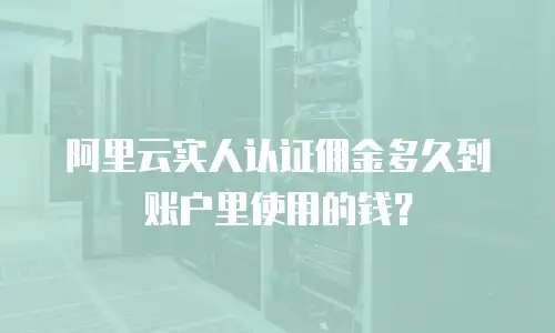 阿里云实人认证佣金多久到账户里使用的钱？