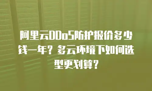 阿里云DDoS防护报价多少钱一年？多云环境下如何选型更划算？