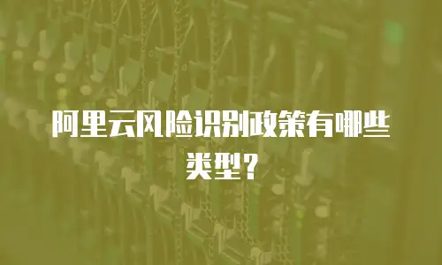阿里云风险识别政策有哪些类型？