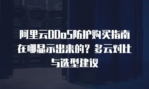 阿里云DDoS防护购买指南在哪显示出来的？多云对比与选型建议