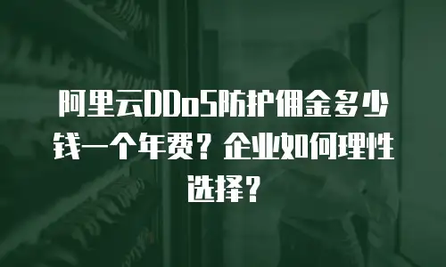 阿里云DDoS防护佣金多少钱一个年费？企业如何理性选择？