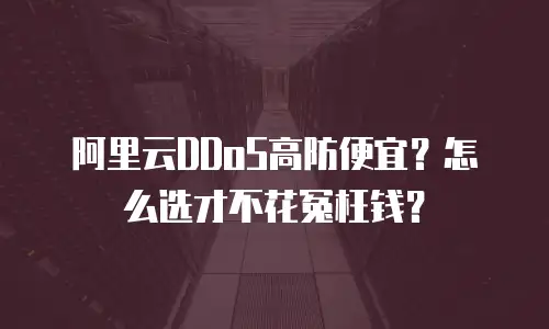 阿里云DDoS高防便宜？怎么选才不花冤枉钱？