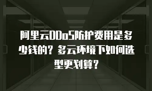 阿里云DDoS防护费用是多少钱的？多云环境下如何选型更划算？