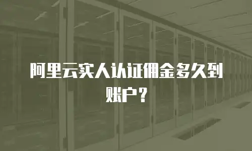 阿里云实人认证佣金多久到账户？