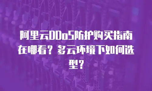 阿里云DDoS防护购买指南在哪看？多云环境下如何选型？