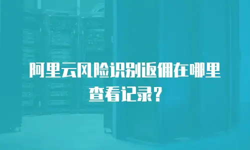 阿里云风险识别返佣在哪里查看记录？