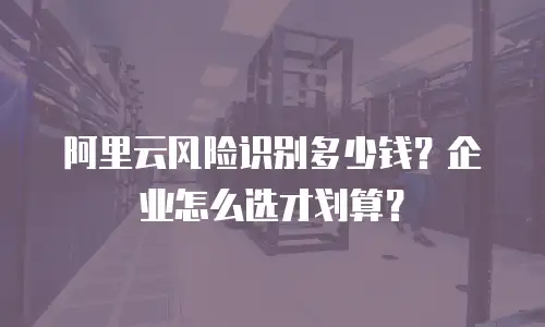 阿里云风险识别多少钱？企业怎么选才划算？
