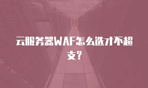 云服务器WAF怎么选才不超支？