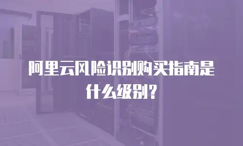 阿里云风险识别购买指南是什么级别？