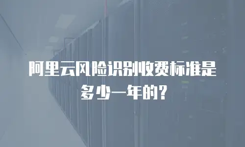 阿里云风险识别收费标准是多少一年的？