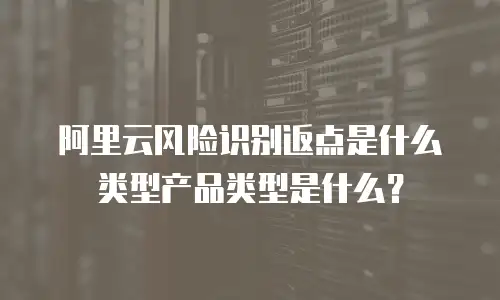 阿里云风险识别返点是什么类型产品类型是什么？