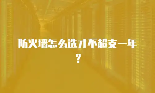 防火墙怎么选才不超支一年？